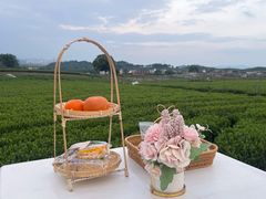 -龙坞茶村