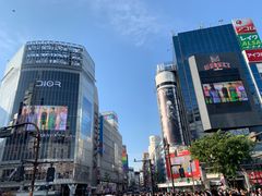 -涩谷区