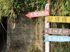 -台北101