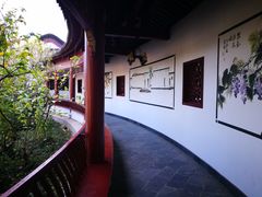 -南汇桃花村