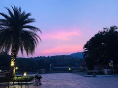 -清迈夜间动物园
