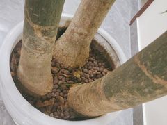 -张钰强中医正骨推拿连锁(唐家人才公寓店)