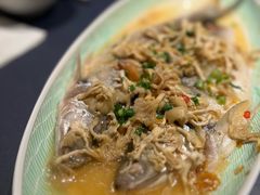 -潮江春(铜锣湾广场店)