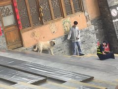 -白鹿原影视城