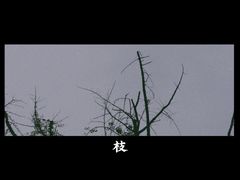 -忠山公园