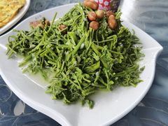 -京北渔家傲