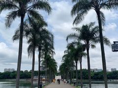 -南宁南湖公园