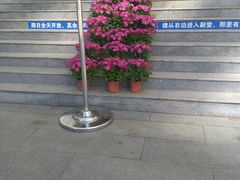 -海淀教堂教堂婚礼