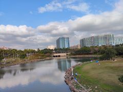 -宝安西湾红树林湿地公园