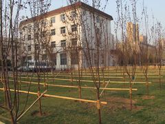 -辽宁大学(崇山校区)