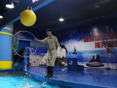 -重庆欢乐海底世界