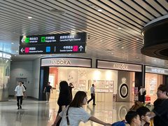 -广州白云国际机场-T2航站楼