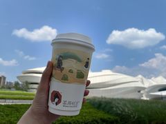 -茶颜悦色(金茂览秀城LG层外街店)