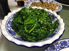 炒豆苗-广迎居老正兴菜馆