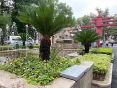 -上海财经大学附属北郊高级中学