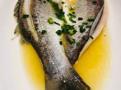 抱腌海鲈鱼-阳光雷迪森广场酒店(中山东路店)