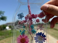 -洪湖生态旅游区