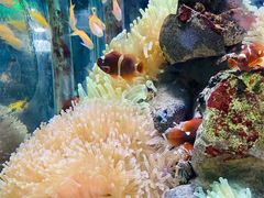 -太平洋海底世界