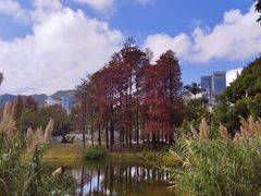 -四海公园(南山区)