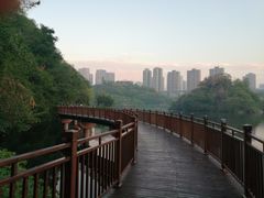 -重庆彩云湖湿地公园