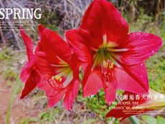 -神光山国家森林公园