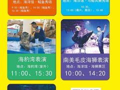 -芜湖新华联大白鲸海洋公园