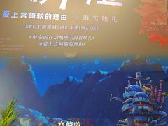 -SFC上影影城(港汇永华IMAX激光店)