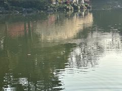 -杭州植物园