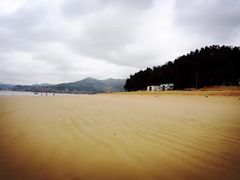 -北岐滩涂