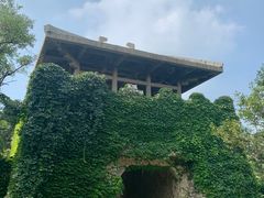 -原山国家森林公园