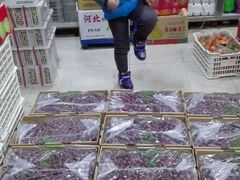 -豫京小凤水果超市(育才胡同店)