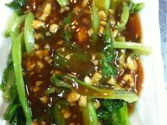 蚝油生菜-9号小厨师(端平桥店)