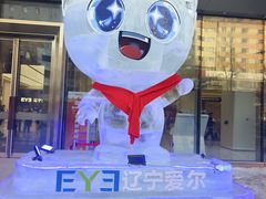 -东北大学附属辽宁爱尔眼科医院