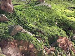 -珞珈山-售票处