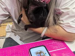 -FAELING PETS美天灵宠物(合生汇店)