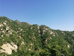-大岭沟猕猴桃谷风景区