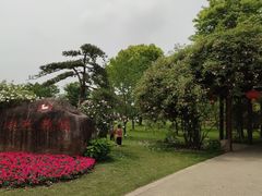 -鹅湖玫瑰文化园