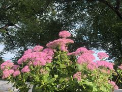 景点-天津盘山风景名胜区