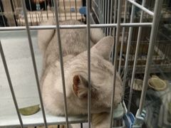 -津菜宋记老房子(鼓楼店)