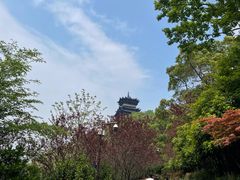 -杭州半山国家森林公园