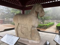 -茂陵博物馆