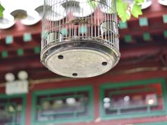-顺承小院儿
