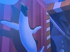 -海合安青岛极地海洋公园