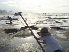 -北海金海湾红树林生态旅游区