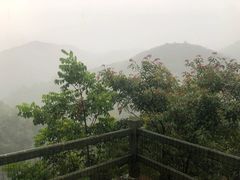 -四会奇石河风景区