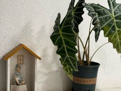 -CLUB心邸·掼蛋·麻将·扑克(日坛店)