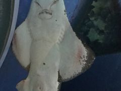 -暹罗海洋世界