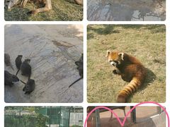 -泉州海丝野生动物世界