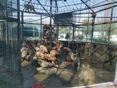 -水绘园