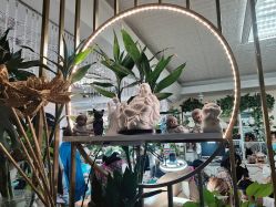 -美甲日记美睫专业纹绣半永久